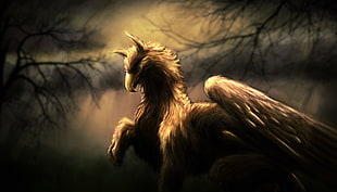 brown mythical creature sketch, fantasy art, Griffins HD wallpaper