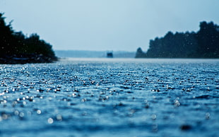 body of water, water drops, water, rain HD wallpaper
