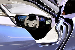 white and black vehicle interior