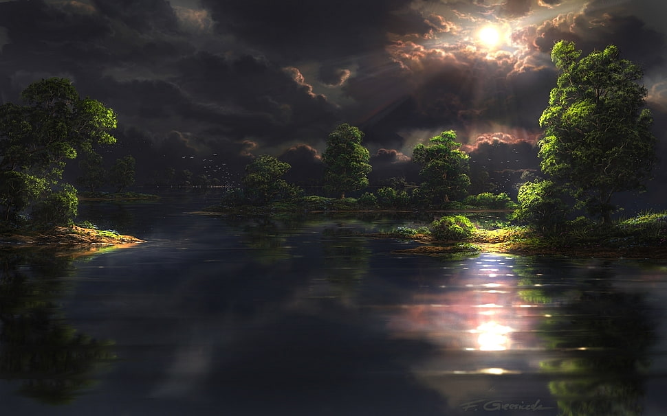 rain fores illustration HD wallpaper