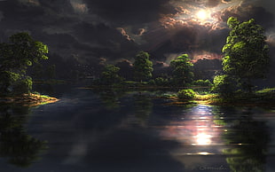rain fores illustration