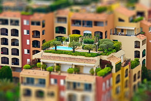 brown concrete buildings