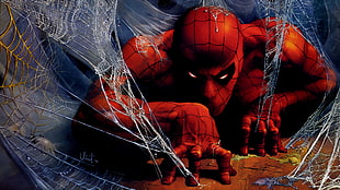 Spiderman illustration HD wallpaper