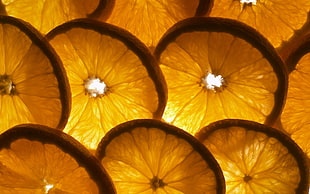 slices of lemons HD wallpaper