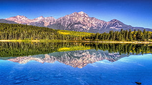mirror photography of trees and mountain during daytime under clear blue sky HD wallpaper