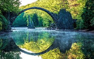 reflection, river, arch, trees HD wallpaper