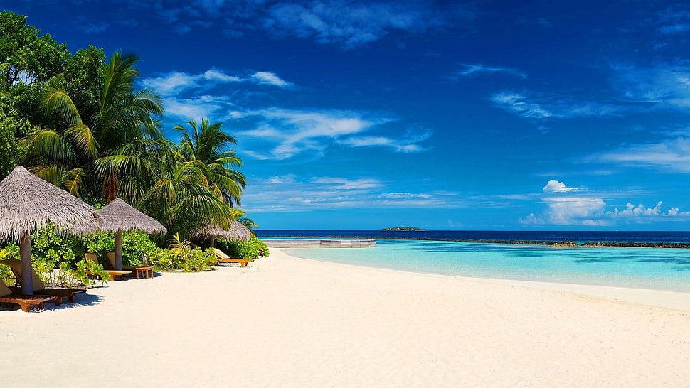 three beach huts, landscape, tropical, beach HD wallpaper