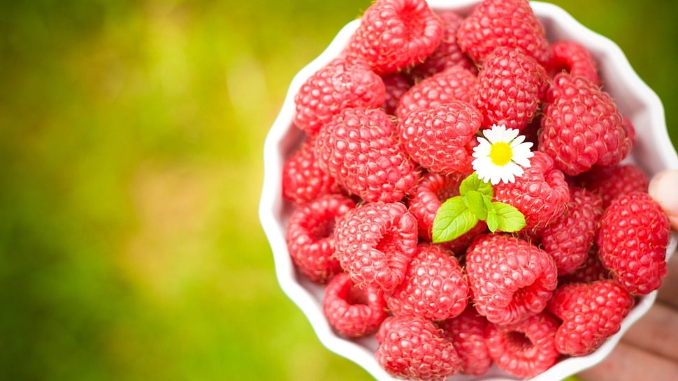 raspberry lot, food, raspberries HD wallpaper