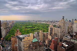 Central Park in New York, USA HD wallpaper
