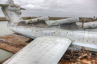gray and white airplane, Lun class ekranoplan, USSR, aircraft, wreck