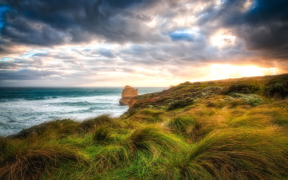 green grass field under heavy clouds during golden hour time HD wallpaper