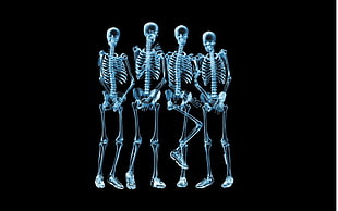 X-ray of four persons, soccer, players, wall, team HD wallpaper