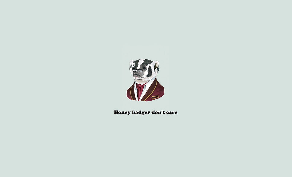 white background with text overlay, quote HD wallpaper