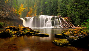 white and brown wooden table, landscape, forest, river, waterfall HD wallpaper