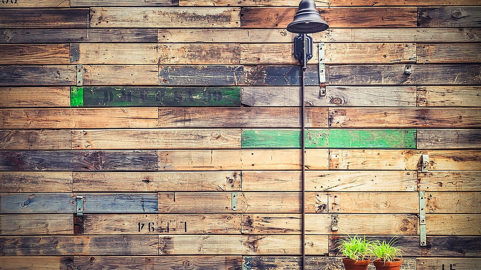 green leafed plants, wood, wooden surface, wall, texture HD wallpaper