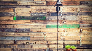green leafed plants, wood, wooden surface, wall, texture