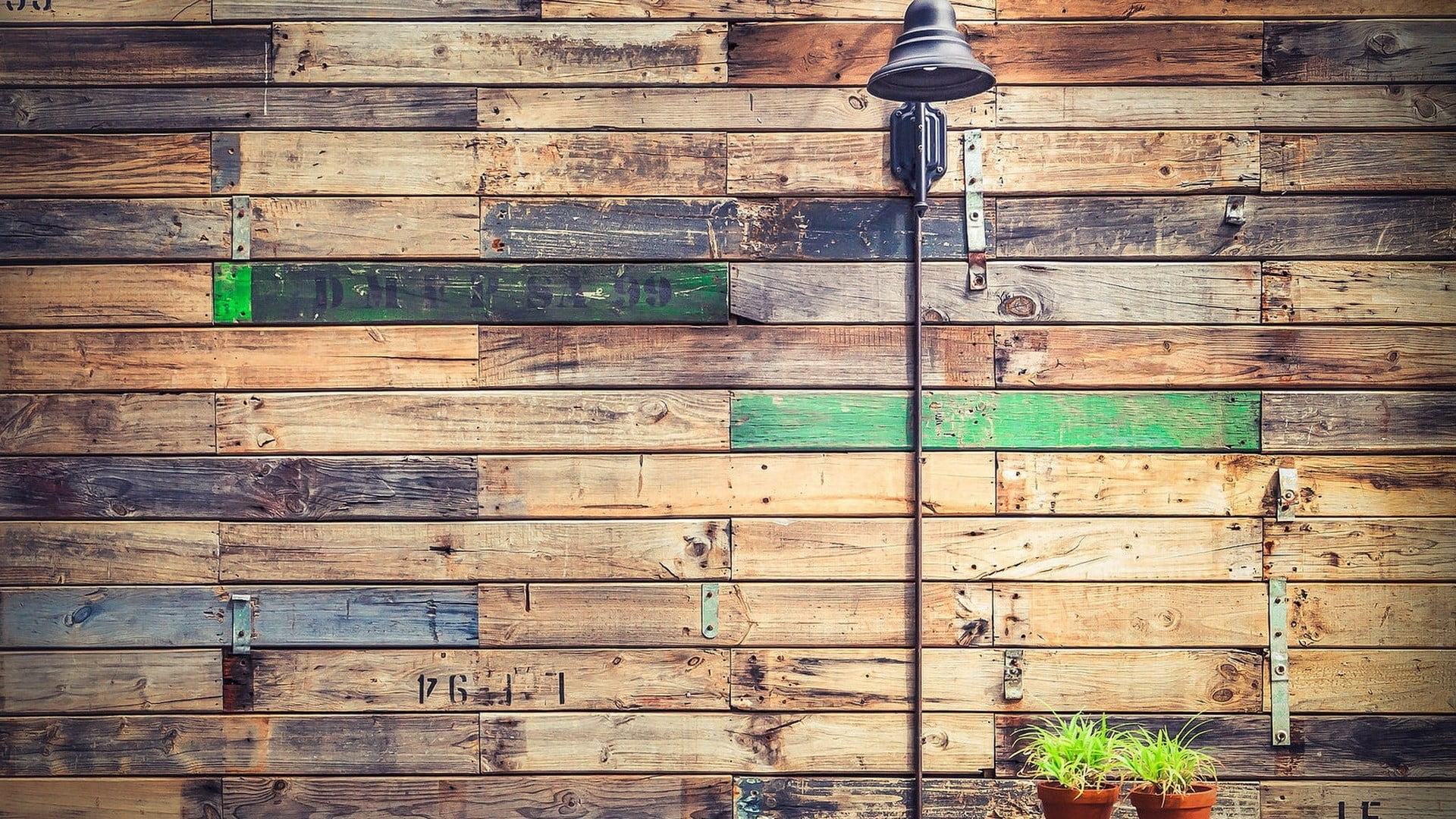 green leafed plants, wood, wooden surface, wall, texture