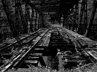 broken bridge grayscale photo, ruin, monochrome