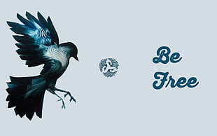 blue bird, Freedom Planet, free, birds, bird of prey HD wallpaper