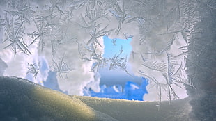 snowflakes, nature, landscape, winter, snow HD wallpaper