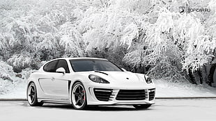 white sport car, car, Porsche, Porsche Panamera, white cars HD wallpaper