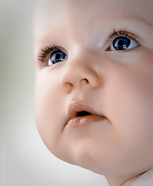 baby face HD wallpaper