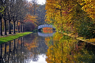lake between trees across bridge during daytime