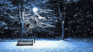 brown wooden bench and street lamp, lantern, artwork, bench, winter