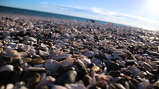 white pebbles, landscape, beach