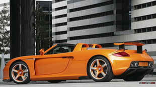 orange and black car die-cast model, Porsche Carrera GT, car, orange cars