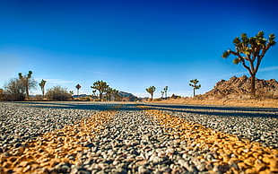 grey road, landscape, road, macro, desert