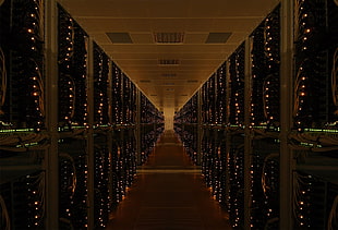 pink string lights, network, Network cable, server, switch HD wallpaper