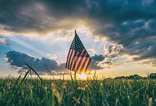 landscape photography of USA Flag in green crop land during daytime HD wallpaper