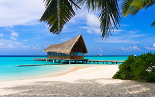 nimpa hut and dock on beach seashore HD wallpaper