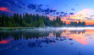 body of water, morning, mist, Grand Teton National Park, forest HD wallpaper