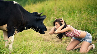 woman facing black adnand white cattle during daytime