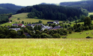shallow focus photography of green grass land near village surrounded by trees during daytime, attendorn, germany