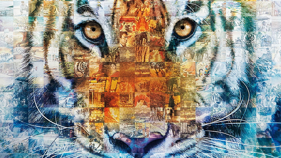 tiger face illustration, Life of Pi, tiger, animals, movies HD wallpaper