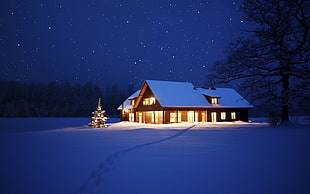 brown wooden bungalow, nature, cabin, winter, snow HD wallpaper
