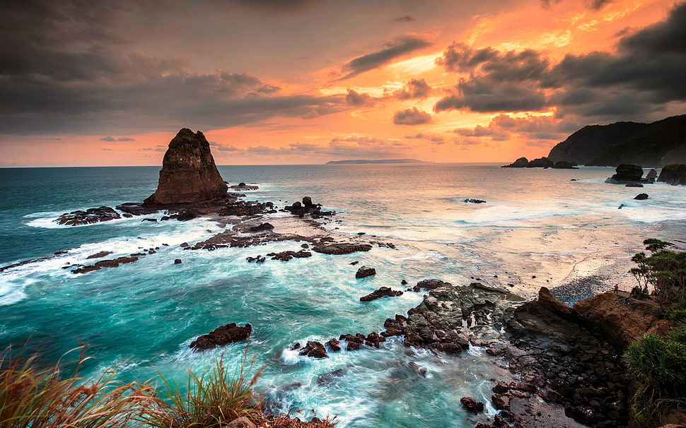 green grass, coast HD wallpaper