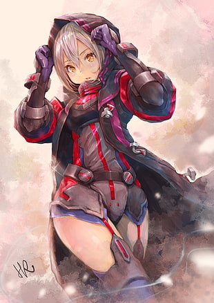 Fate/Grand Order, Mysterious Heroine X Alter (Fate/Grand Order), armor, grey hair