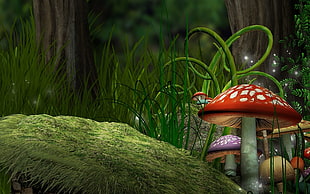 red mushroom illustration, mushroom HD wallpaper