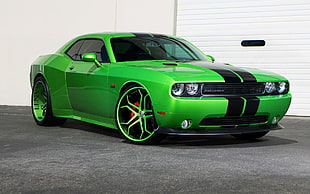 green and black coupe, Dodge Challenger, car, green cars, vehicle HD wallpaper