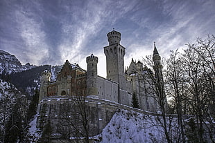 white castle, nature, winter, snow, trees