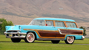 brown and blue station wagon