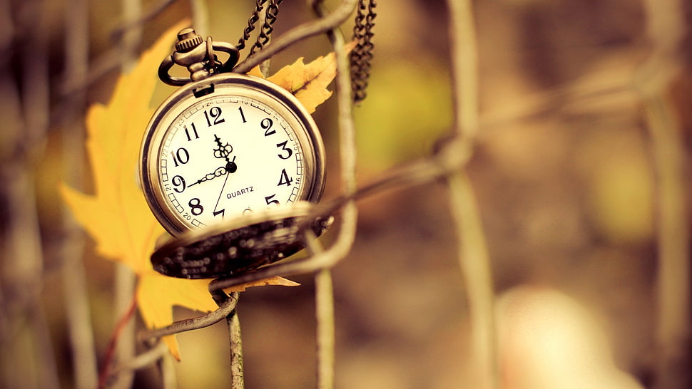 round silver-colored pocket watch, clocks, fence, depth of field, leaves HD wallpaper