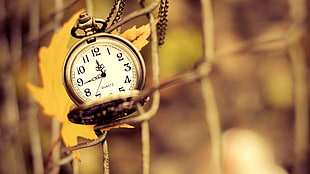 round silver-colored pocket watch, clocks, fence, depth of field, leaves