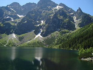 green trees, landscape, mountains, lake, reflection HD wallpaper