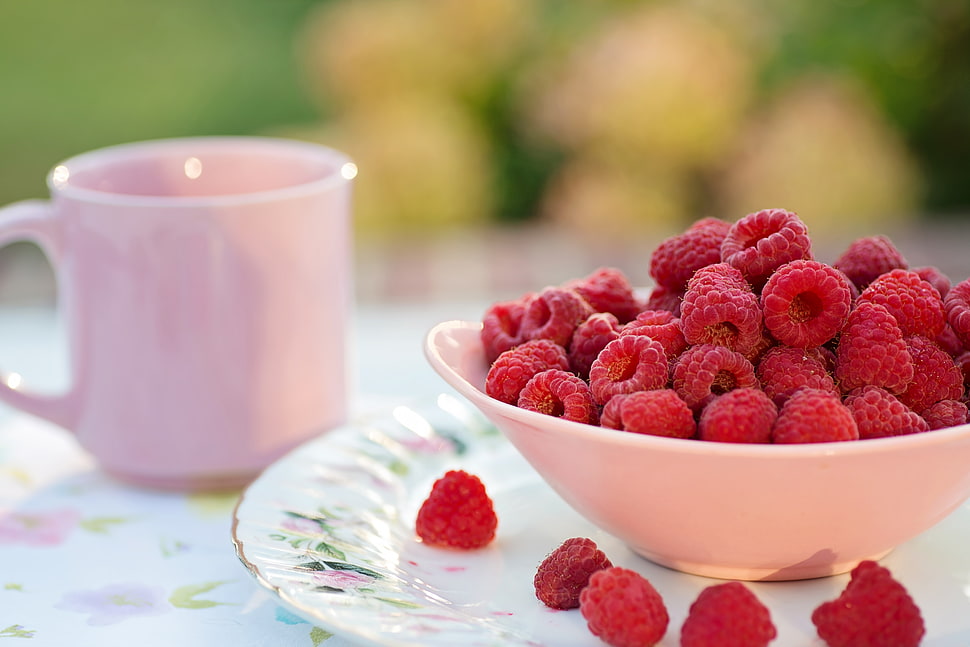 selective focus photography of red raspberries in white ceramic bowl HD wallpaper