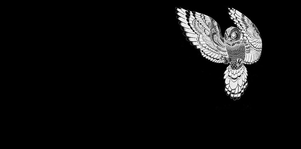 owl wallpaper, owl, animals, artwork, simple background HD wallpaper